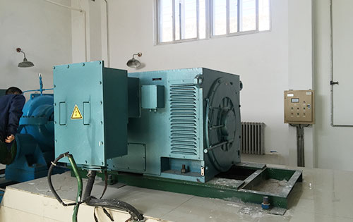靖西某水电站工程主水泵使用我公司高压电机一年质保